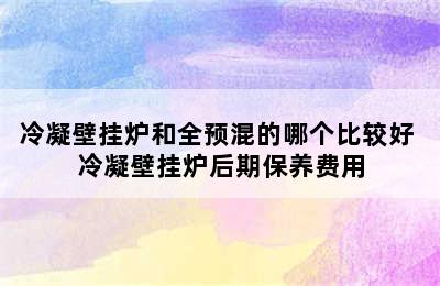 冷凝壁挂炉和全预混的哪个比较好 冷凝壁挂炉后期保养费用